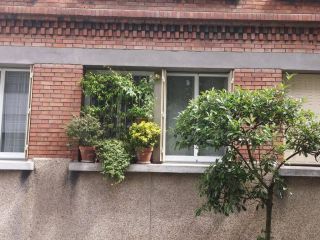 Menuiseries de qualité pour votre maison.