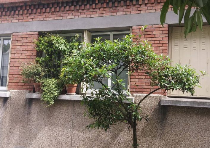 fenetres-alu-et-persiennes-a-paris-75-13e-4092df6ce214f910cacb9290caa29202.jpg Fenêtres alu et persiennes de qualité.