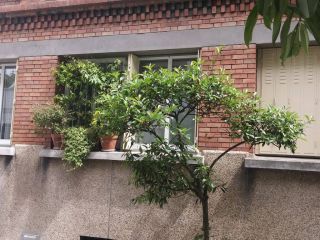 Fenêtres alu et persiennes de qualité.