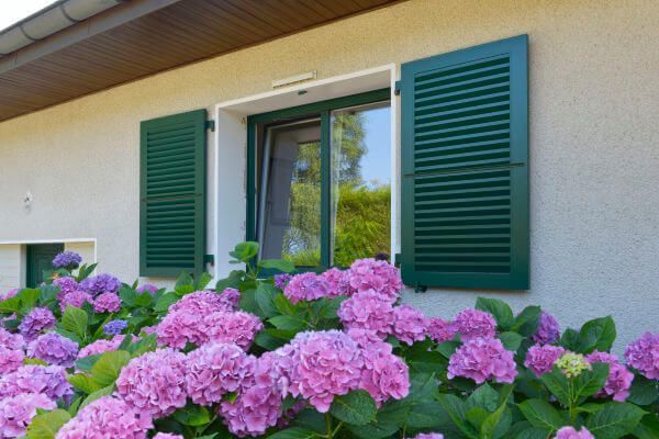 pose-de-fenetres-bicolores-blanc-et-vert-volets-pe-ba19798676ce61e6368f36f380185a4a.jpg Menuiseries de qualité pour votre habitat