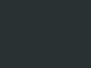 7016_Gris_anthracite.png Gris anthracite