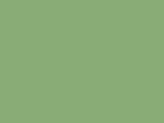 Ral_6021_Vert_pâle.png Vert pâle