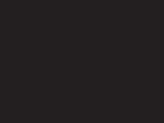 RAL_9005_Noir_foncé.png Noir foncé