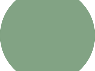 Vert_pale.png Vert pale