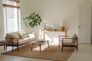 assurance_fenetre_tryba.webp Un salon lumineux et minimaliste avec des meubles en bois clair, une grande plante verte et un tapis beige.