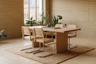 double_vitrage_confort_thermique.webp Salle à manger moderne avec des chaises en bois et métal autour d'une table en bois, sur un tapis tissé, entourée de plantes vert