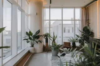 Double_vitrage.webp Un salon moderne et lumineux avec de grandes fenêtres et des plantes vertes en pots.