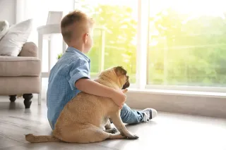 fenetre-lumiere-jpg.webp Un enfant assis par terre près d'une fenêtre lumineuse, câlinant son chien.