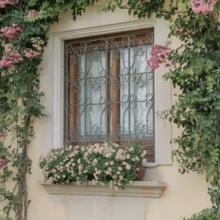 grille_fenetre.webp Fenêtre ornée de fers forgés entourée de verdure florissante sur un mur pastel.