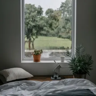 Infiltrations_deau_fenetre.webp Une chambre confortable avec une fenêtre donnant sur un jardin pluvieux, décorée avec des plantes et une tasse sur le rebord.