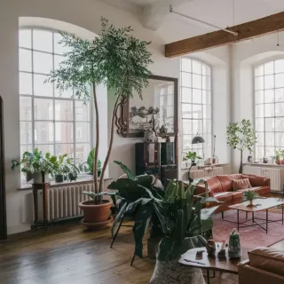 Isolation_phonique_fenetre_salon.webp Un salon lumineux et spacieux avec un canapé en cuir marron, des plantes vertes luxuriantes et de grandes fenêtres cintrées.