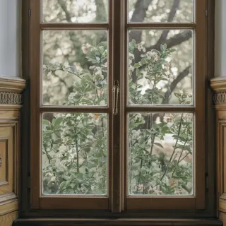 probleme_sante_fenetre.webp Vue bucolique à travers une fenêtre en bois classique, encadrant des branches fleuries et un arrière-plan verdoyant.