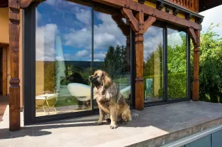 veranda_projet_cle_en_main.webp Un chien assis sur une terrasse ensoleillée devant une grande baie vitrée offrant une vue sur un jardin verdoyant.